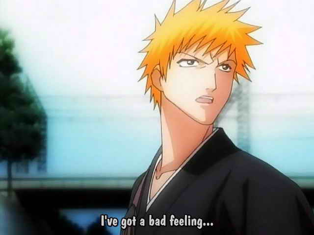 Otaku Gallery  / Anime e Manga / Bleach / Screen Shots / Episodi / 006 - Scontro mortale Ichigo vs Ichigo / 093.jpg